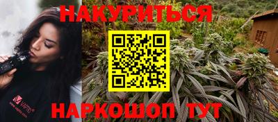 индика Рузаевка