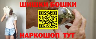 индика Рузаевка