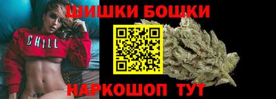 индика Рузаевка